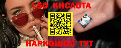 гашик Будённовск