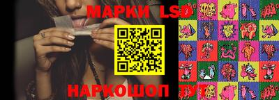гашик Будённовск