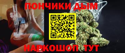 гашик Будённовск