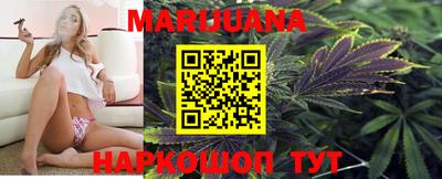 гашик Будённовск